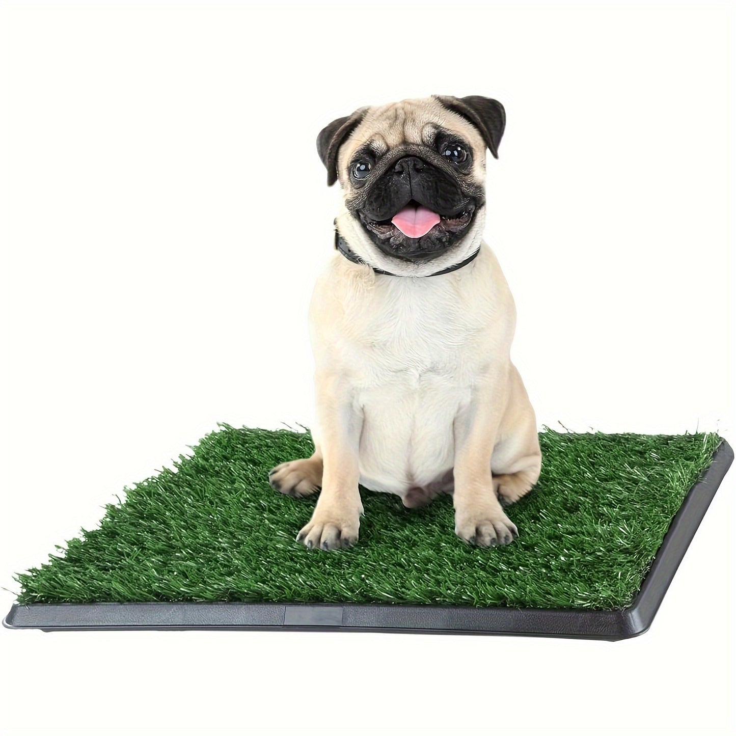 "Leak-Proof" Washable Dog Potty Tray with 3-Layer System