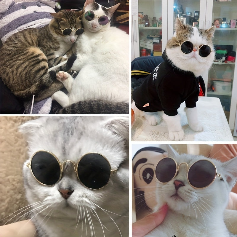 Whimsical Pet Fashion Glasses for Cats & Dogs