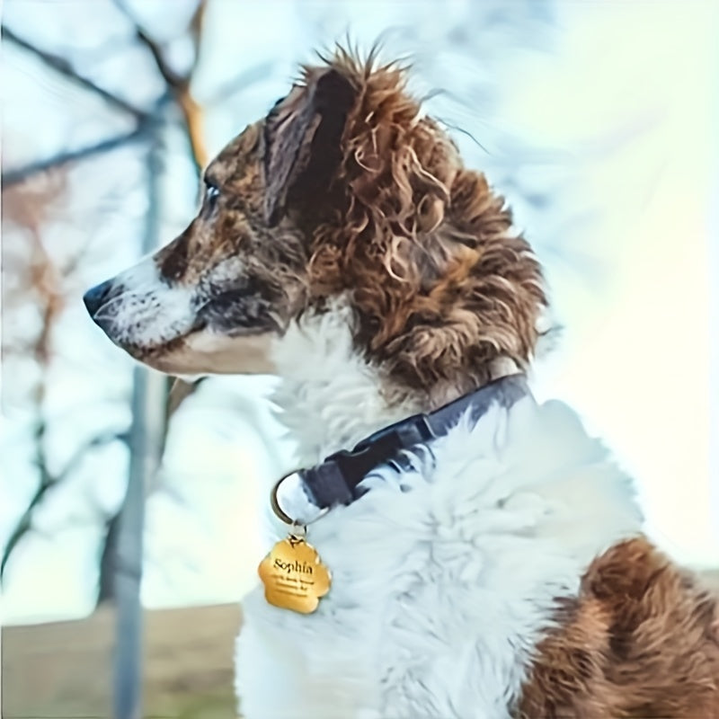Custom Engraved Tags for Small Cats And Dogs