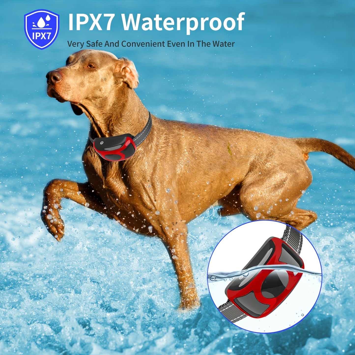 Rechargeable Dog Training Collar with Remote