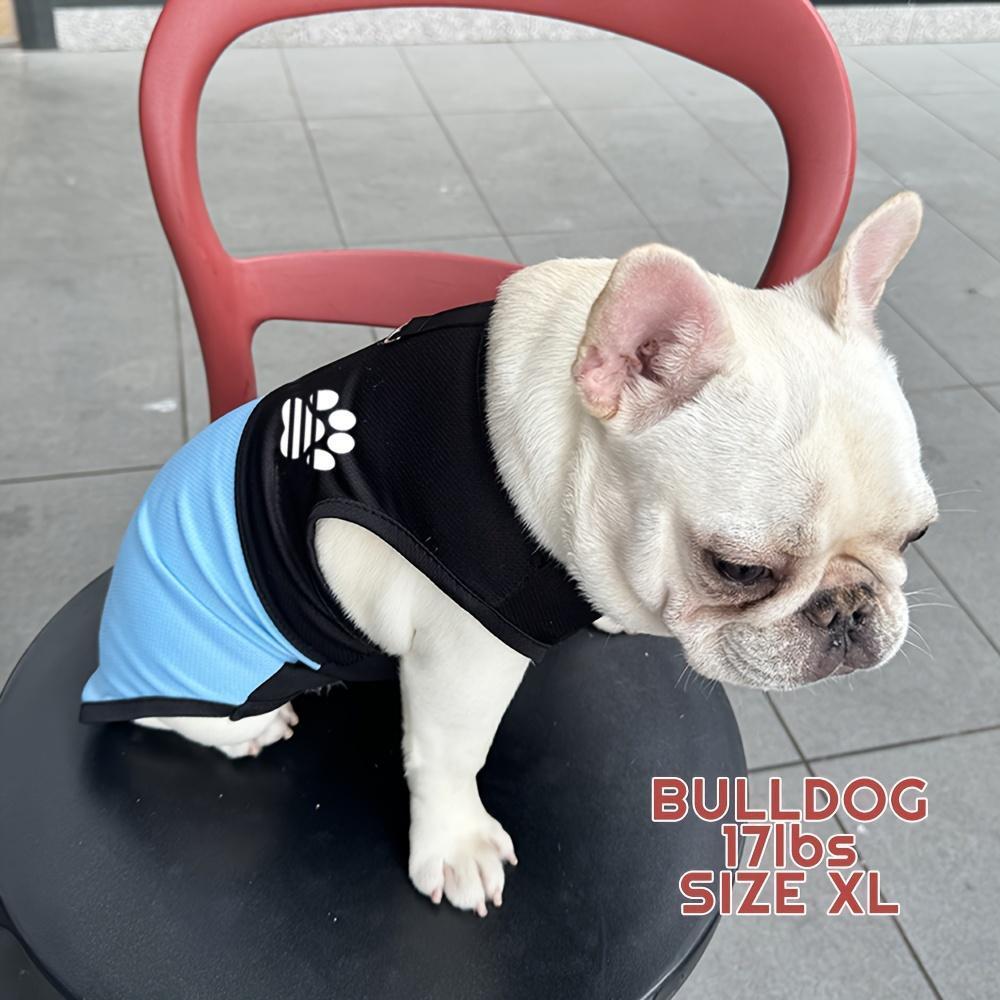 Breathable Mesh Dog Vest with Paw Print