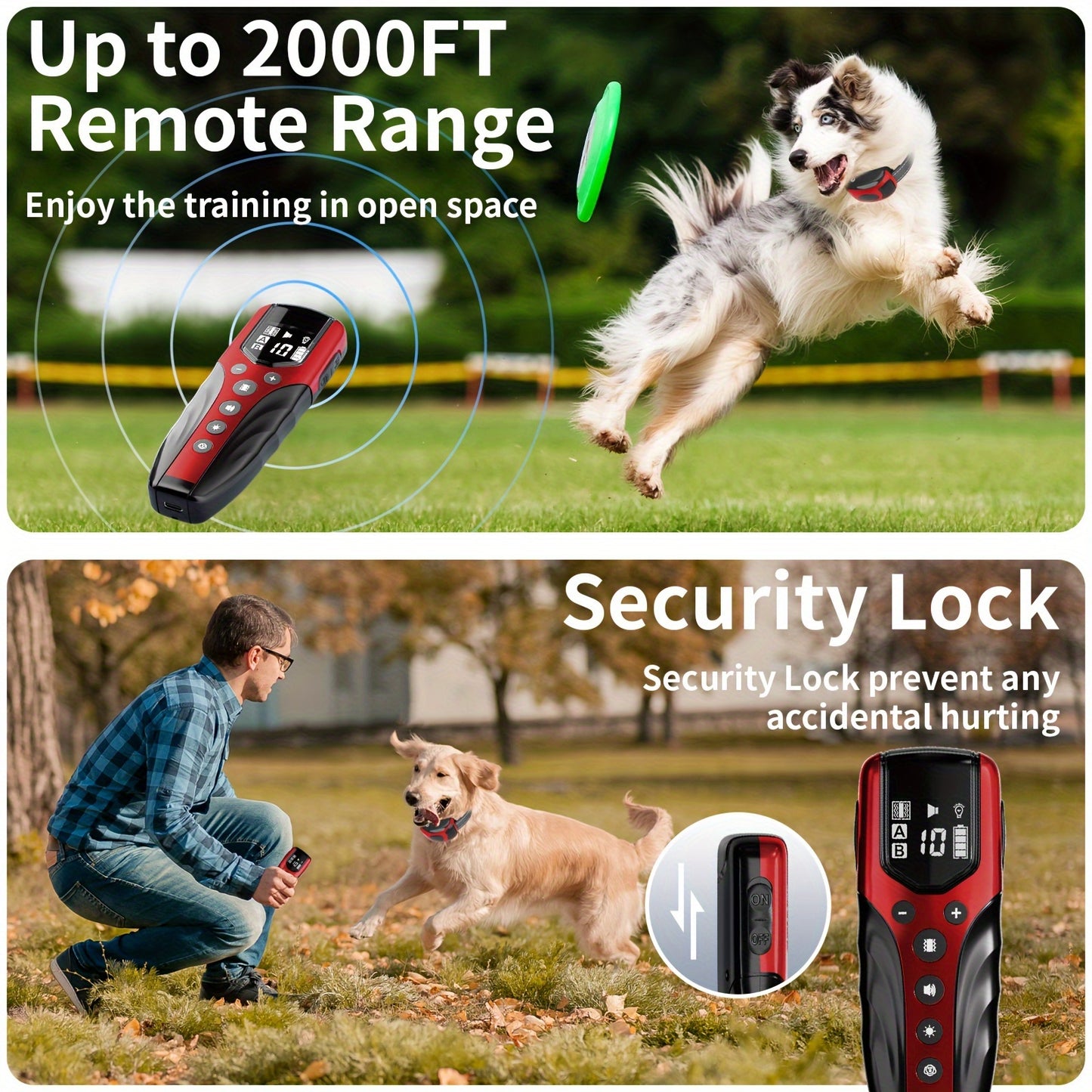 Rechargeable Dog Training Collar with Remote