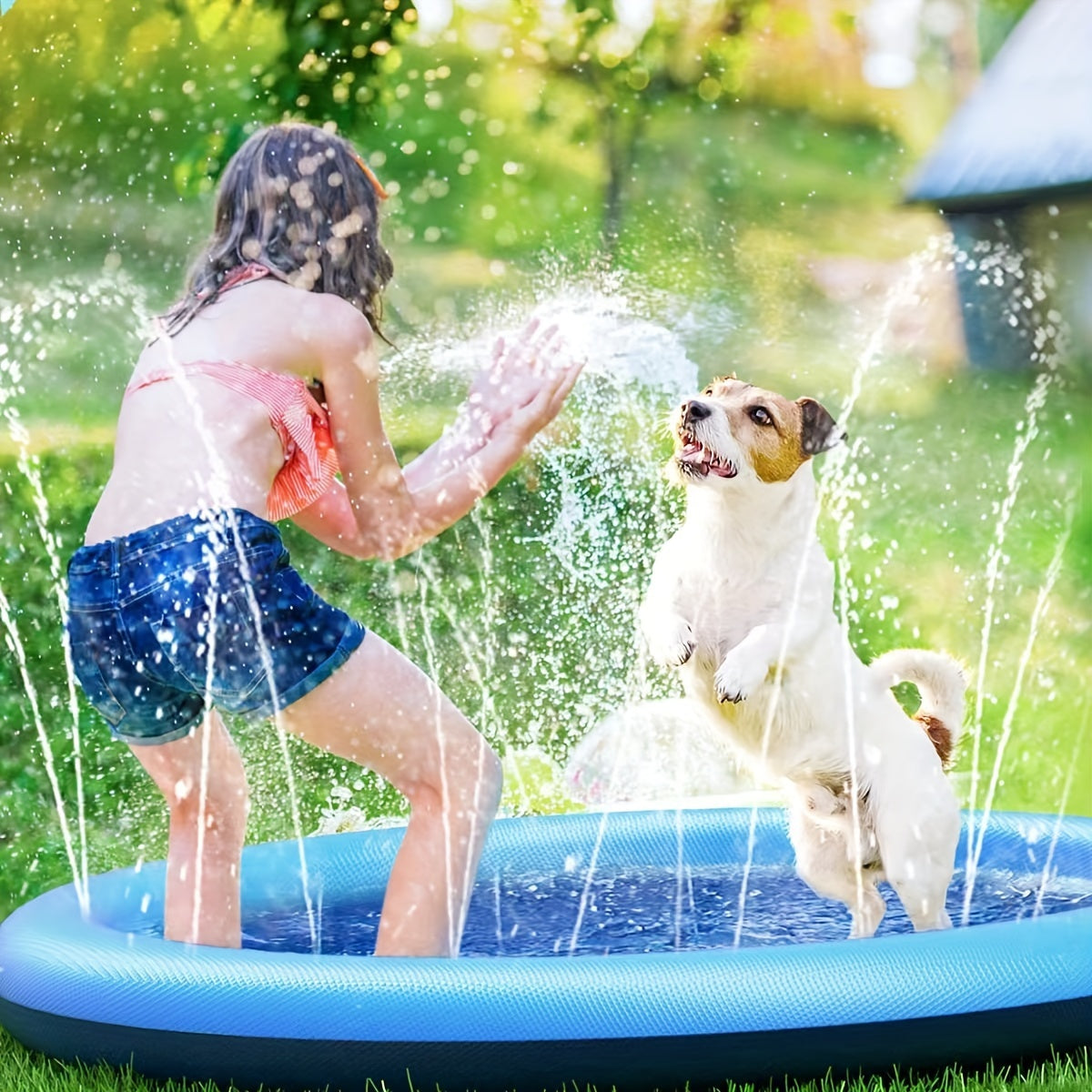 Pet water spray mat, pet beach toy, yard toy