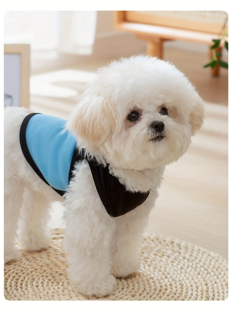 Breathable Mesh Dog Vest with Paw Print
