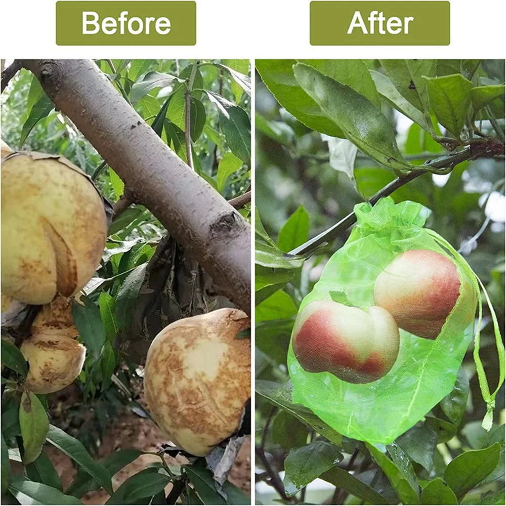 100PCS Grapes Fruit Protection Bags