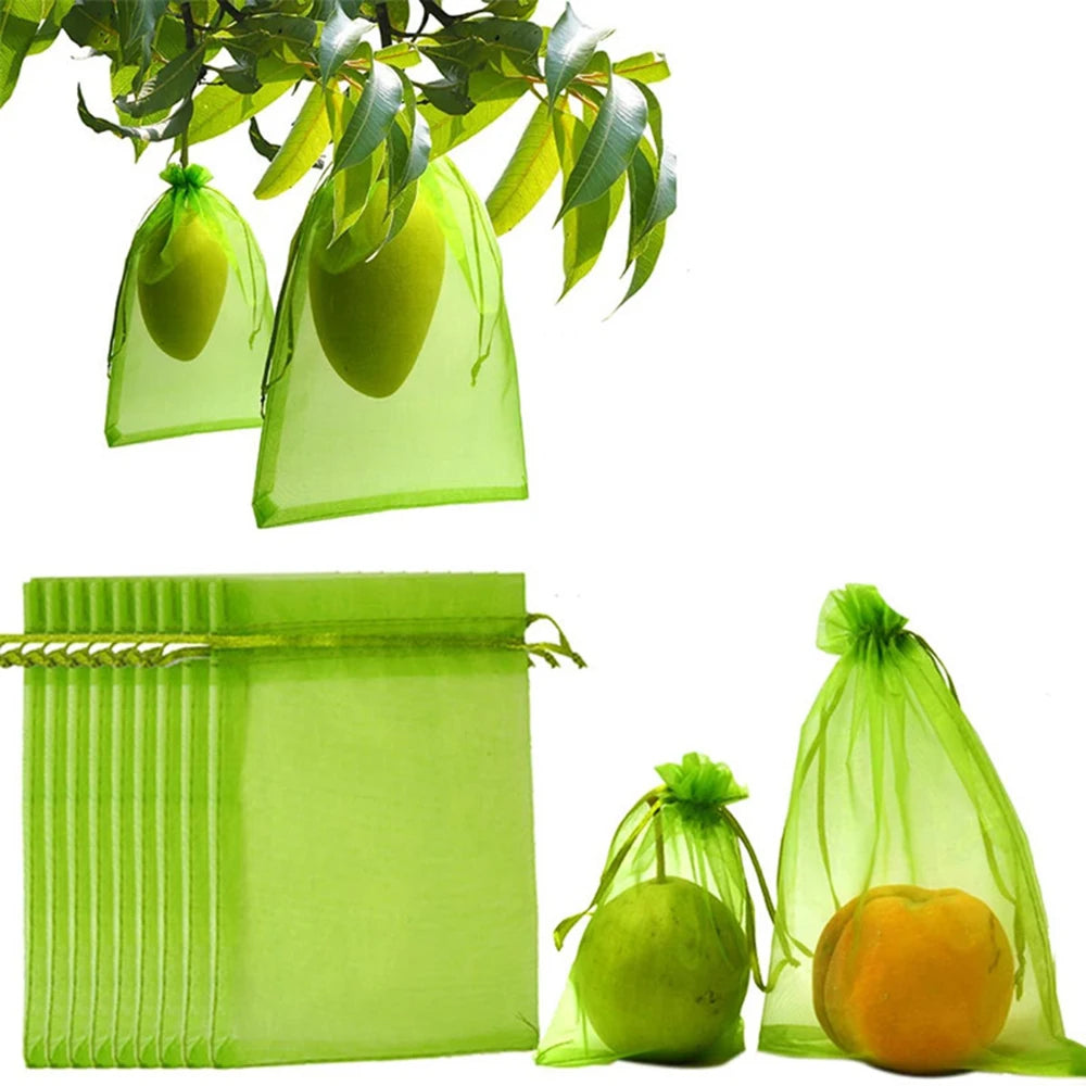 100PCS Grapes Fruit Protection Bags