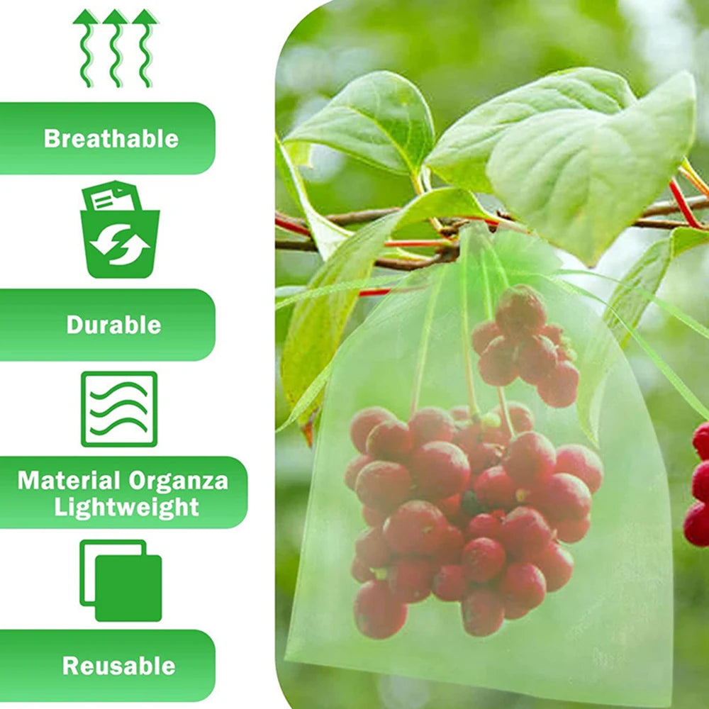 100PCS Grapes Fruit Protection Bags