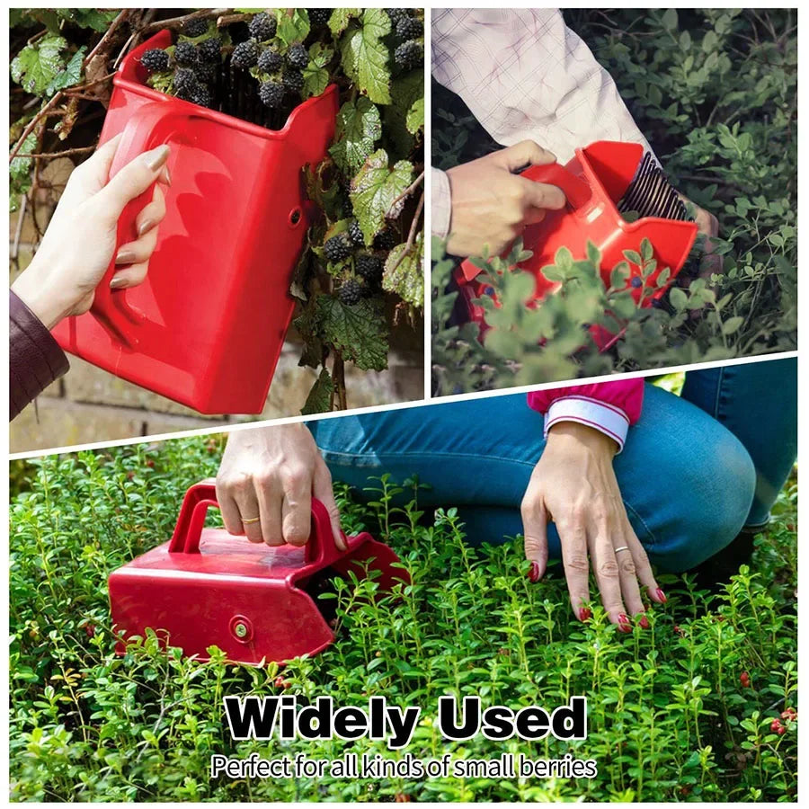 Shovel Blueberry Picker Fruit
