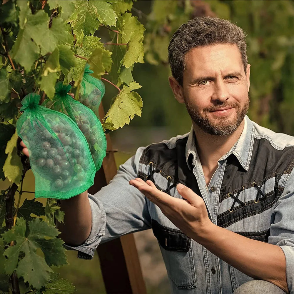 100PCS Grapes Fruit Protection Bags