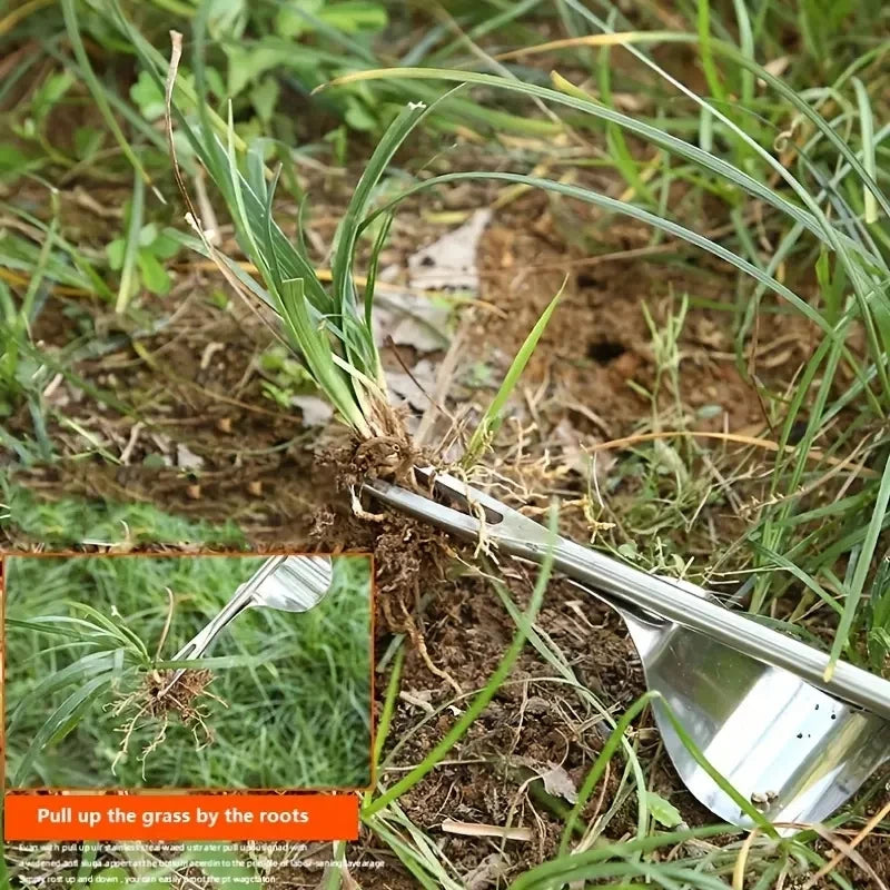 Garden Supplies Root Starter