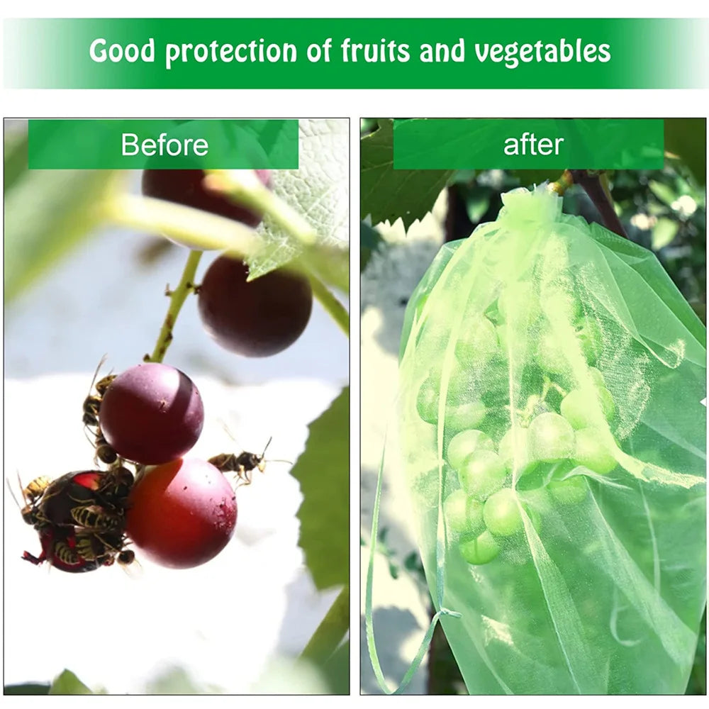 100PCS Grapes Fruit Protection Bags