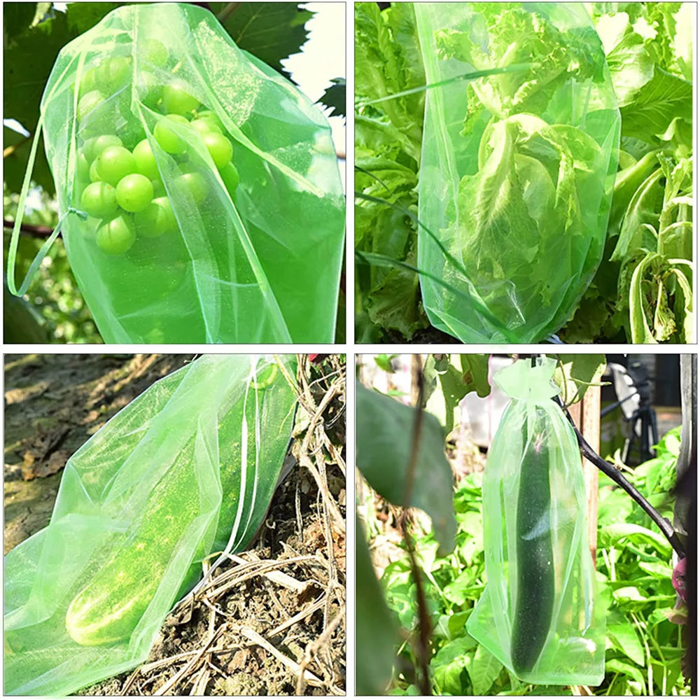 100PCS Grapes Fruit Protection Bags