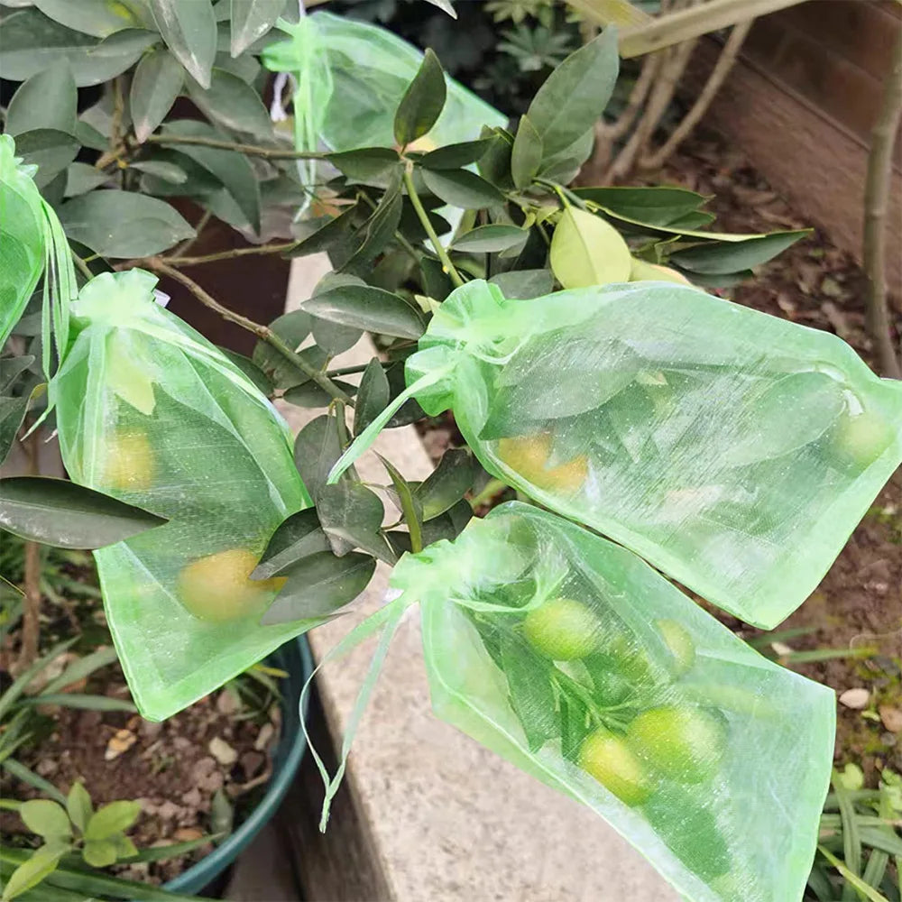 100PCS Grapes Fruit Protection Bags