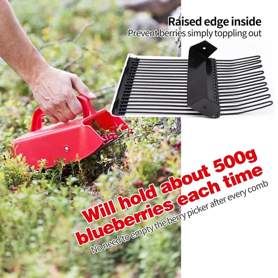 Shovel Blueberry Picker Fruit