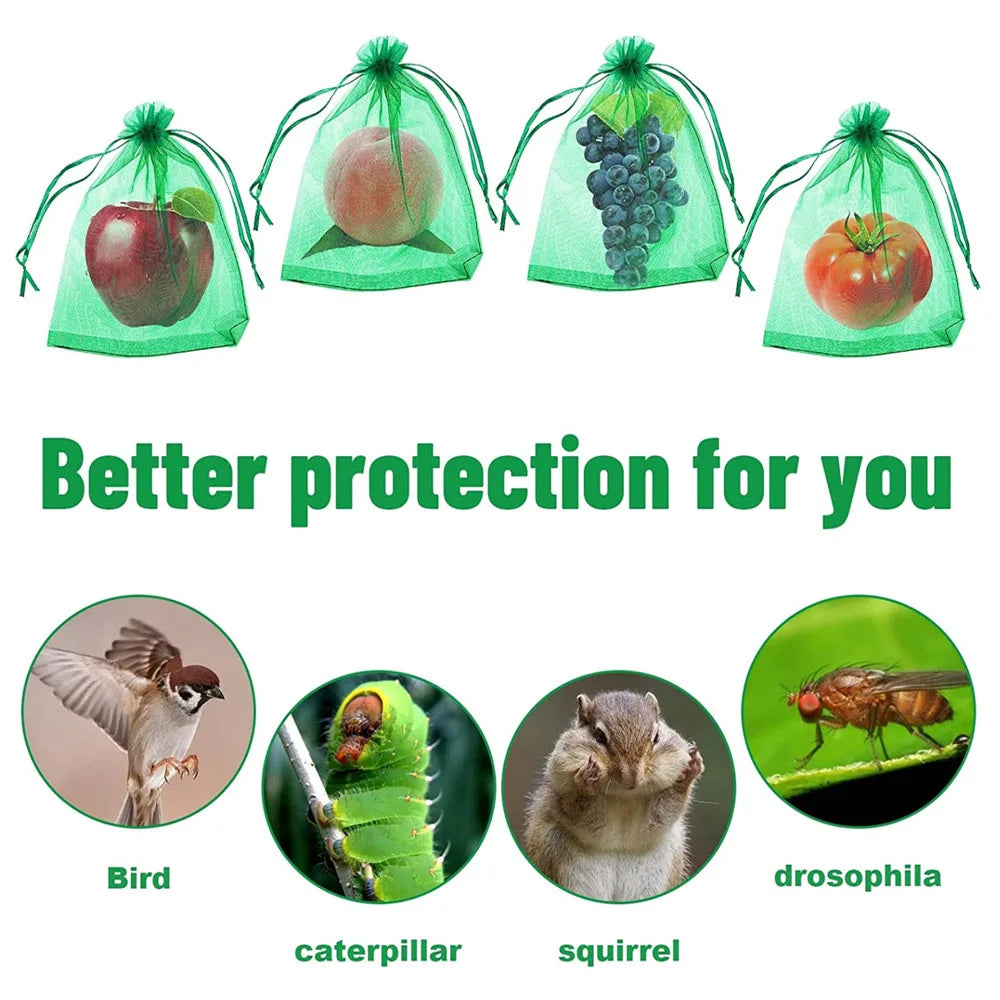 100PCS Grapes Fruit Protection Bags