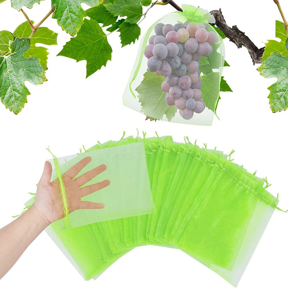 100PCS Grapes Fruit Protection Bags