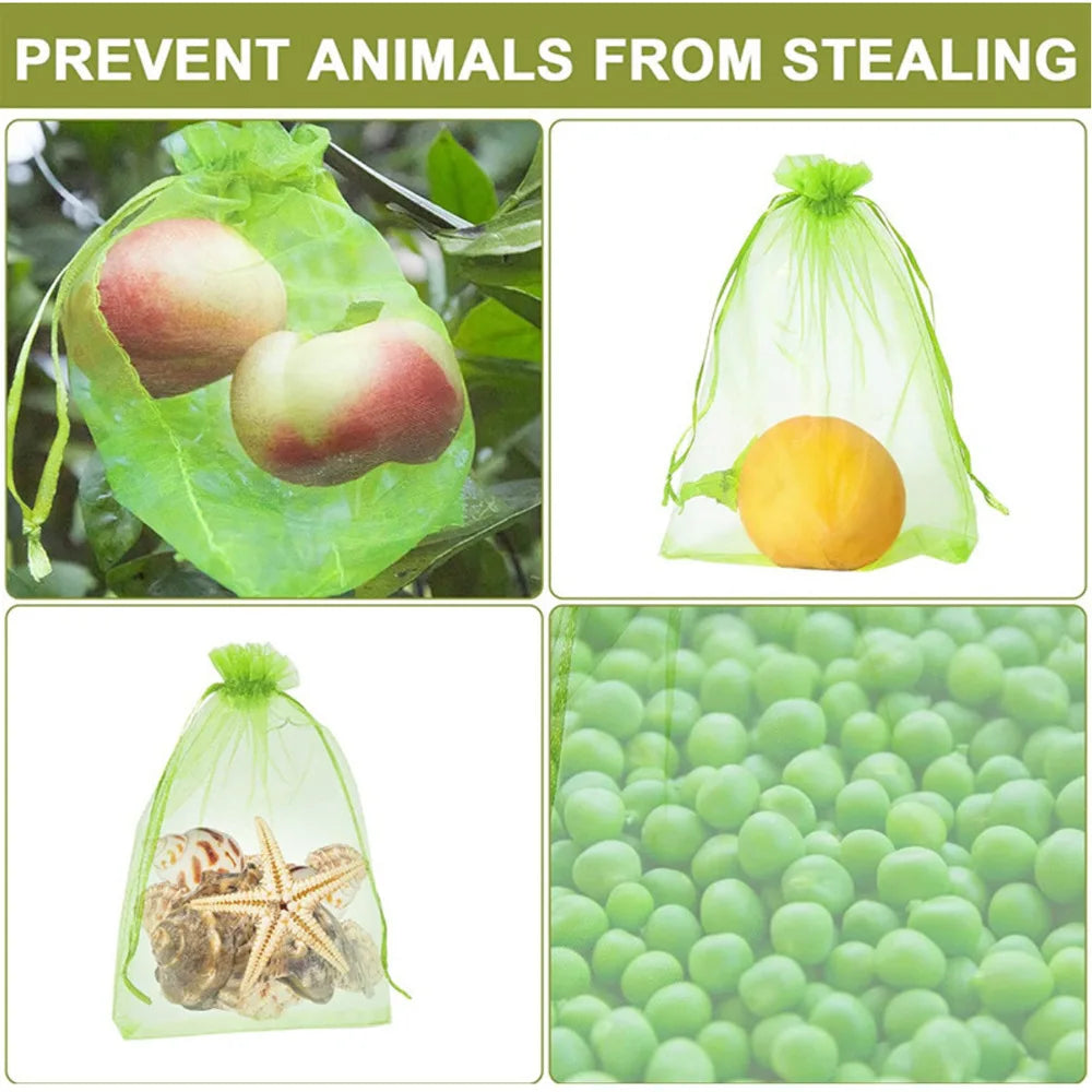 100PCS Grapes Fruit Protection Bags