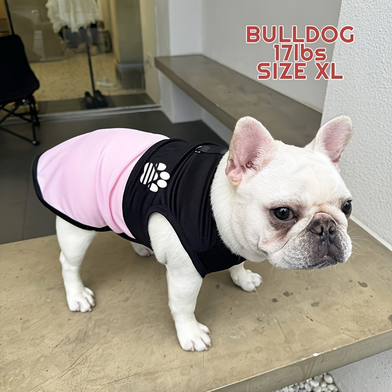 Breathable Mesh Dog Vest with Paw Print