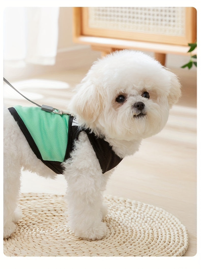 Breathable Mesh Dog Vest with Paw Print