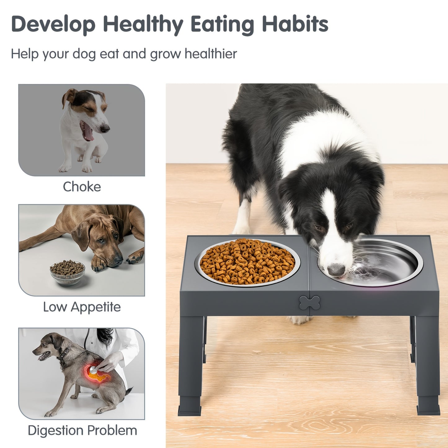 1 Set Elevated Dog Bowls