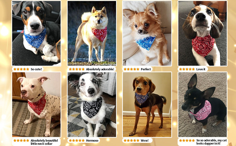 Stylish Printed Dog Bandanas With Buckle