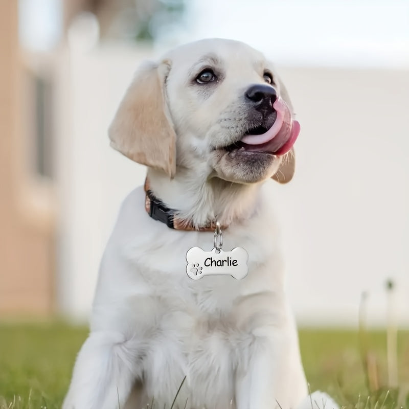 Customized Pet Tag [golden/Silvery]-C3