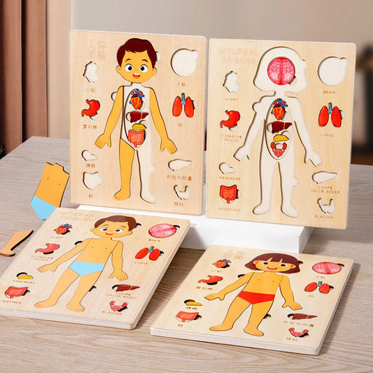 Human Body Puzzle Anatomy Play Set