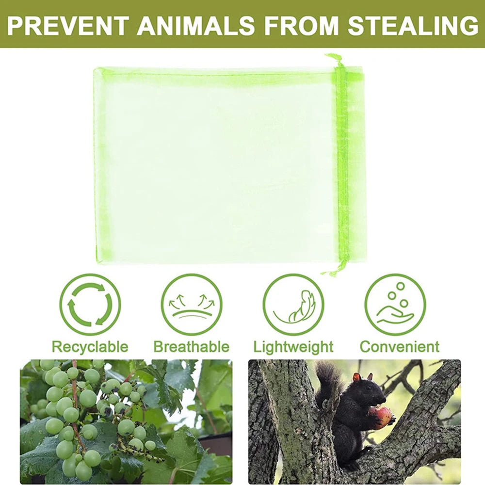 100PCS Grapes Fruit Protection Bags