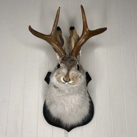 Easter Gift Bunny Head Antlers Wall Hanging Decoration